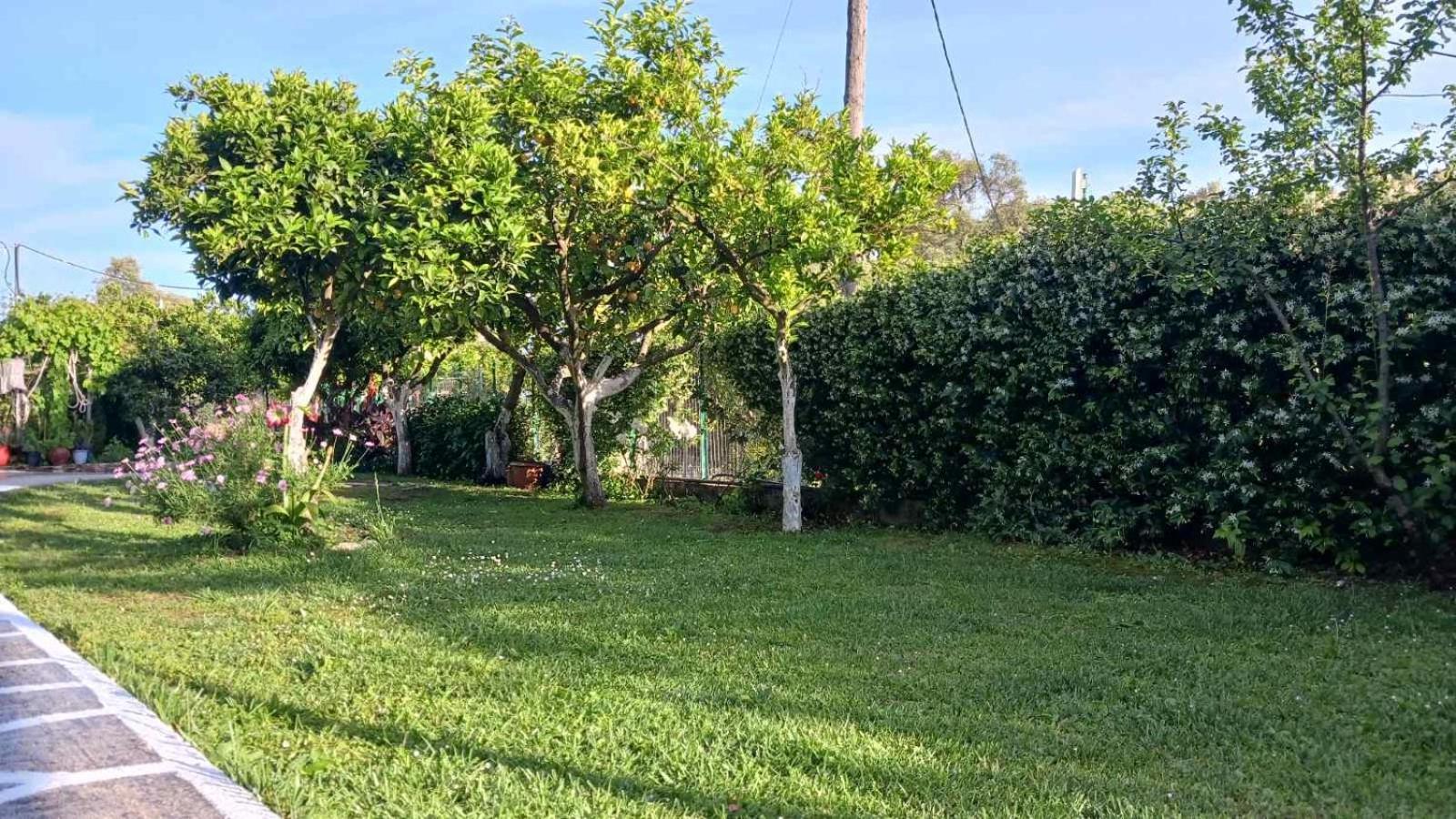 Villa Ioannidis Parga Esterno foto