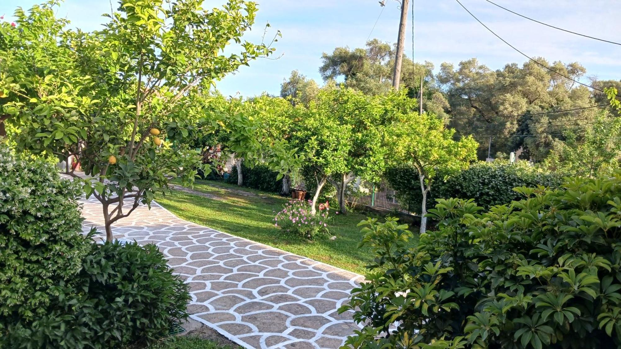 Villa Ioannidis Parga Esterno foto
